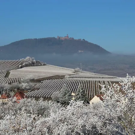 アパート Cote Jardin Fahrer Ackermann Rorschwihr